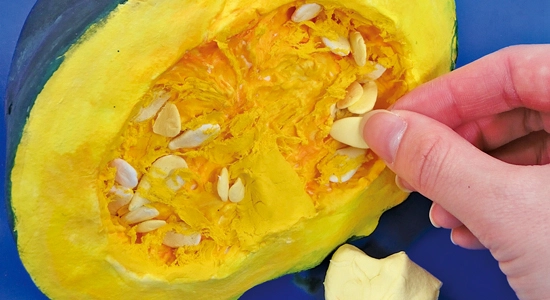 Step.5　タネをつける